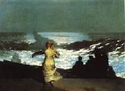 Winslow Homer A Summer Night oil painting on canvas